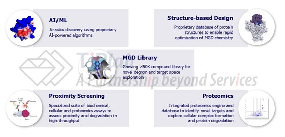 参见：Monte Rosa年报