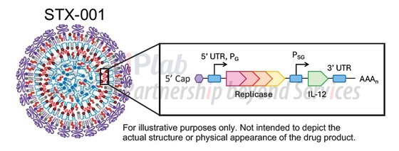 STX-001 结构设计，来源：Strand Therapeutics