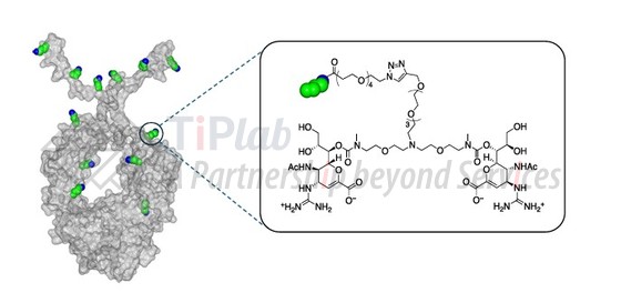CD388的结构，参见：https://doi.org/10.1038/s41564-025-01955-3