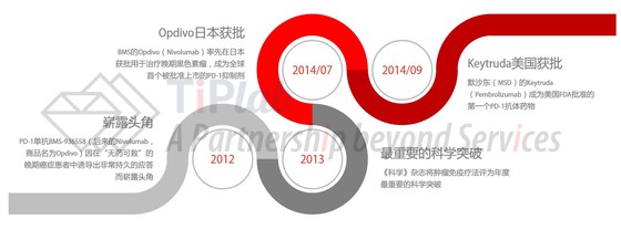 PD-1及其抑制剂逐渐成为肿瘤治疗界备受瞩目的新星