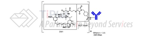 T-DM1的化学结构式，平均每个曲妥珠单抗上缀合3.5个DM1
