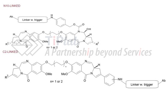 参见:Spirogen官网