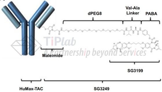 参见:MJ Flynn,Molecular cancer therapeutics.2016