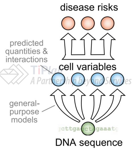 参见:Leung et al. 2016