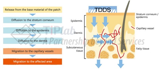 TDDS机理(摘自久光制药官网)