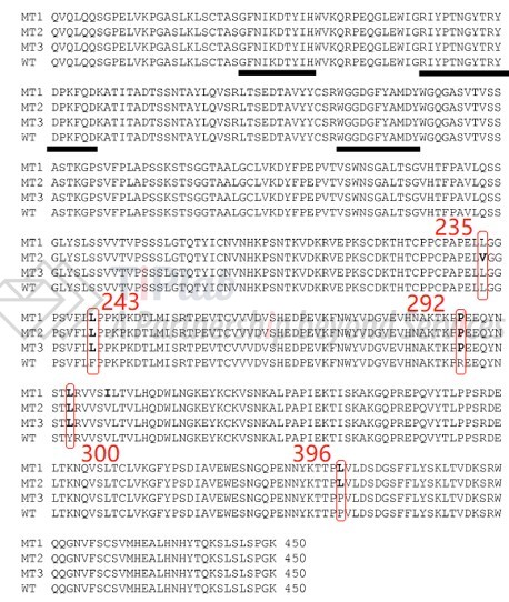 参见:US8802093B2 Figure 2