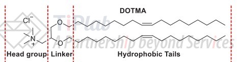 阳离子脂质DOTMA和脂质的三个重要结构区域(参见:org/10.1021/acs.chemrev.1c00244)