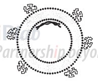 双层脂质囊泡的SPLP(参见:10.1038/sj.gt.3300821)