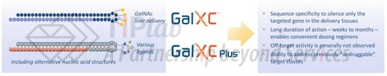 GalXC™和GalXC-Plus™递送平台(参见:Dicerna 2021年年报)