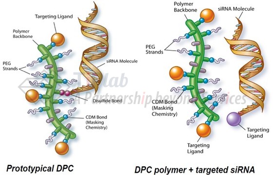 第一代DPC™ vs. 第二代DPC™
