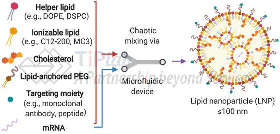 LNP制备(DOI:org/10.1016/j.molmed.2021.03.003)