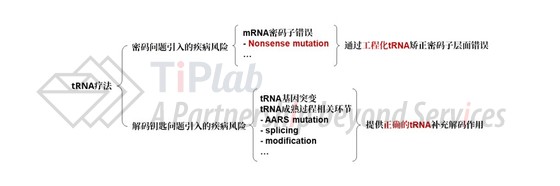 图3,tRNA疗法