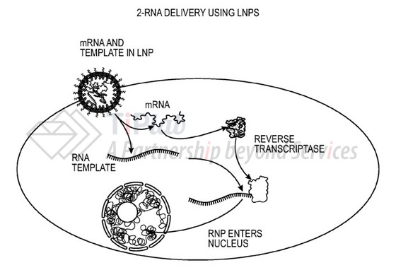 参见:PCT/US2023/028175