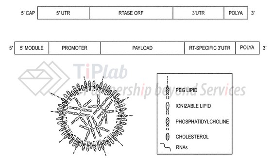 参见:PCT/US2023/028175