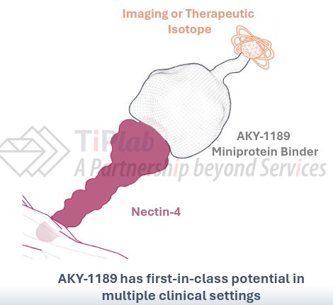 参见：Aktis 官网