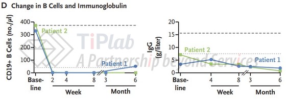 CM336治疗前后CD19+ B细胞计数(左图)和血清IgG水平(右图)的变化,参见:DOI: 10.1056/NEJMc2502297