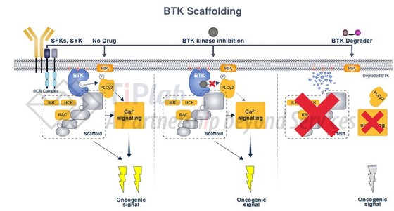 参见:Nurix presentation