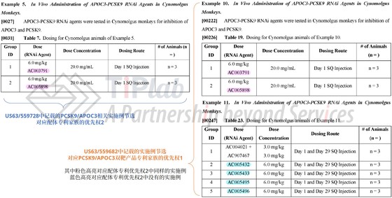 图2 平台专利与产品专利对具体技术方案的披露尺度不同