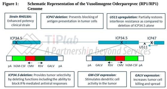 参见:Replimune, TUDRIQEV(RP1)BLA 125827 FDA 咨询委员会会议,申办方简报材料
