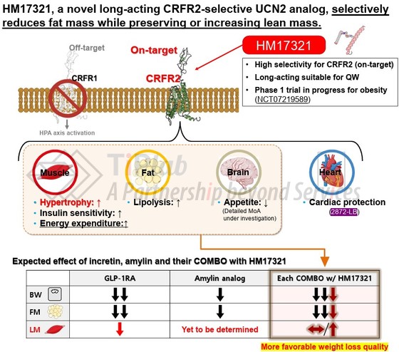 参见:HM17321, a Novel UCN2 Analog, Improves Weight Loss Quality in combination with Amylin Analogs in DIO rats. American Diabetes Association (ADA), June 5-8, 2026