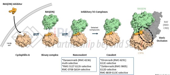 参见:Revolution Medicines,AACR 2026报告