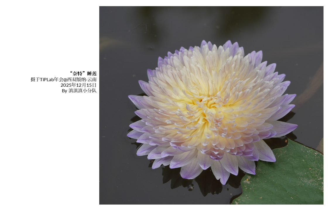 TiPLab2025年会-云南西双版纳